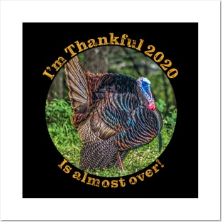 Thanksgiving 2020 Thankful this year is almost over Posters and Art